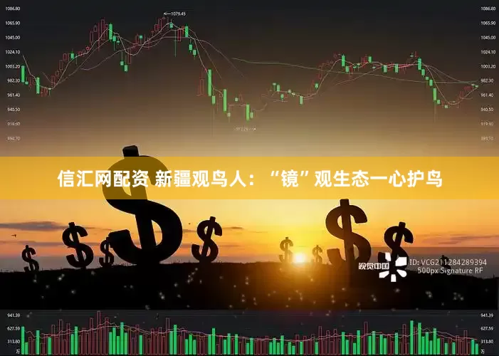信汇网配资 新疆观鸟人：“镜”观生态一心护鸟